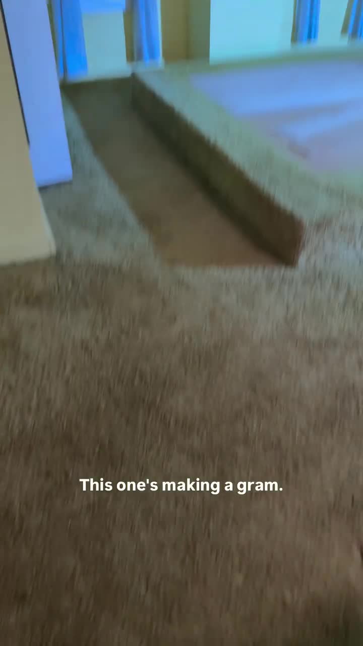 28K views · 19K reactions | Brandon Carrigan on Reels