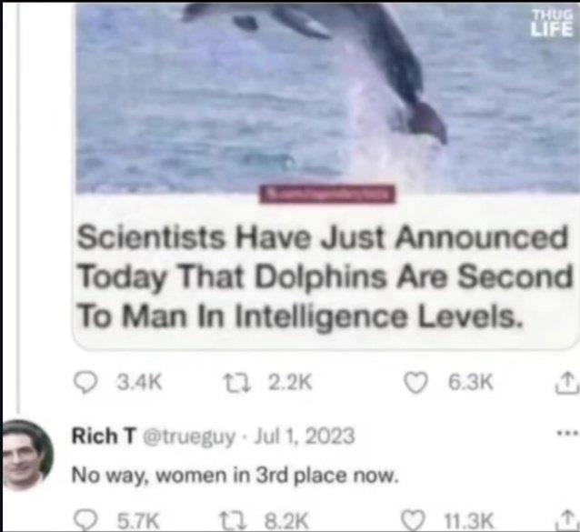 Random Meme 2/21/2026-10:28 PM