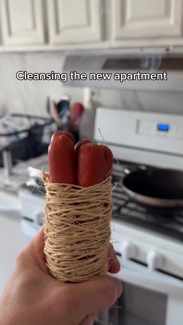 2M views · 19K reactions | All bad dog vibes must go | The Vulgar Chef